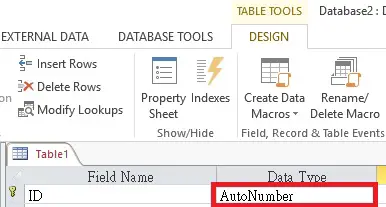 Access add Auto number 01